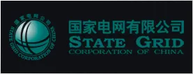 国家电网有限公司