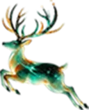 deerbodyis